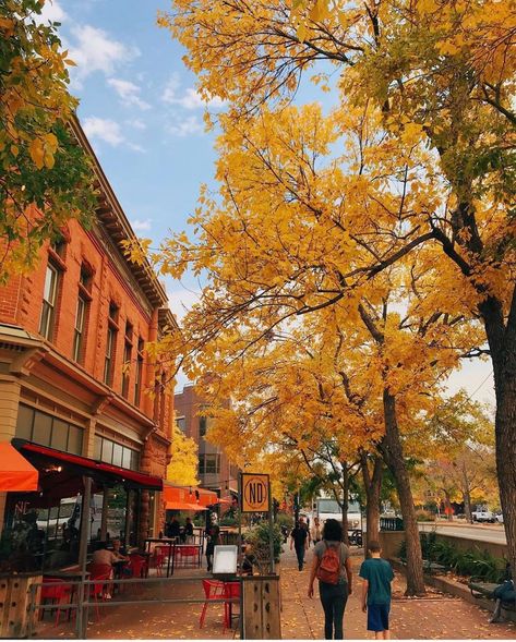 Fort Collins Aesthetic, Colorado Fall Aesthetic, Fort Collins Colorado Aesthetic, Colorado In Fall, Denver Colorado Aesthetic, Colorado In The Fall, Fall In Colorado, Colorado Aesthetic, Orb Weaver