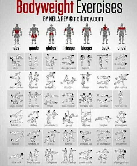 Great list of bodyweight exercises divided by muscle group. Great for a quick at home workout! Full Body Weight Workout, Gym Antrenmanları, Volleyball Workouts, Workout Bauch, Bodyweight Exercises, Workout Chart, Weights Workout, Bodyweight Workout, Weight Training