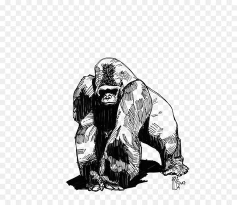 Gorilla Drawing, Gorilla Tattoo, Tattoo Outline Drawing, Outline Drawing, Best Tattoo Designs, Tattoo Outline, Outline Drawings, Tattoo Design Drawings, Tattoo Drawings