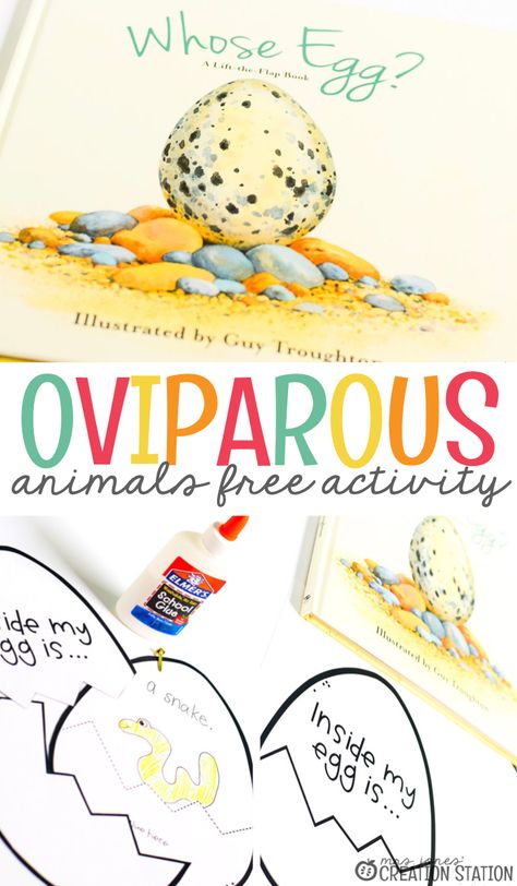 Oviparous Animals - Mrs. Jones Creation Station Chickens Aren't The Only Ones Activities, An Egg Is Quiet Activities, Animals That Hatch From Eggs Preschool, Bird Provocation, Oviparous Animals Preschool, Oviparous Animals Kindergarten, Kindergarten Inquiry, Turtle Room, Oviparous Animals