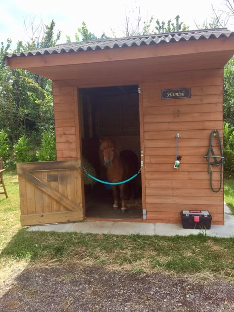 Pony Stable Ideas, Pony Stall Ideas, Pony Enclosure, Small Stable Ideas, Shetland Pony Stable, Horse Stables Small, Mini Horse Barn, Miniature Horse Barn, Animal Language