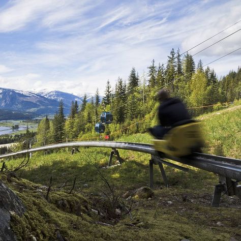 You Can Ride A 1.4-km Mountain Coaster Through Glades And Tunnels At This B.C. Resort - Narcity Mountain Coaster, Backpacking Canada, Canada Holiday, Canada Road Trip, Travel Canada, Visit Canada, Roller Coasters, Explore Canada, Summer Adventures