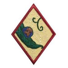 New Cuisines (Cadette badge) | Scouts Honor Wiki | Fandom Cadette Girl Scout Badges, Adapted Pe, Cadette Badges, Scout Patches, Girl Scouts Cadettes, Girl Scout Patches, Girl Scout Badges, Scout Badges, Skill Building