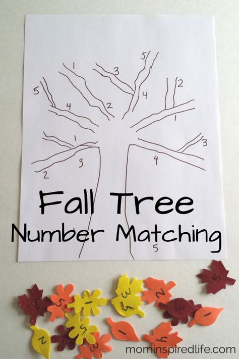 Cute fall learning activity for your little ones Fall Math Activities, November Crafts, Crafts For Preschoolers, Fall Preschool Activities, Sistem Solar, Fall Lessons, Fall Math, Tree Study, Thanksgiving Preschool