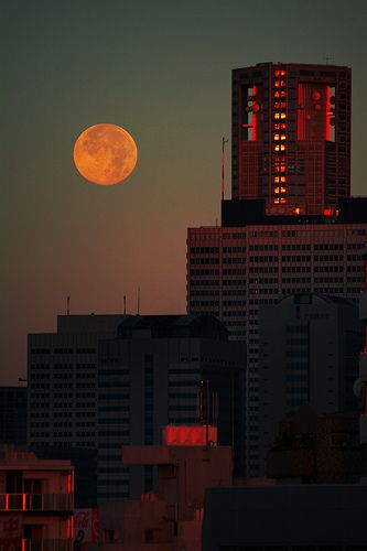 Chatroom Backgrounds, Western America, Roy Harper, Aesthetic Orange, Neon City, Diy Aesthetic, Tall Buildings, Paris Jackson, Dark Mode