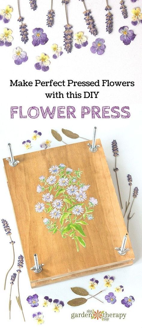 Diy Flower Press, Pressed Flowers Diy, Pressing Flowers, Live Flowers, Flower Pressing, Pressed Flower Crafts, Green Ideas, Flower Press, Creation Station