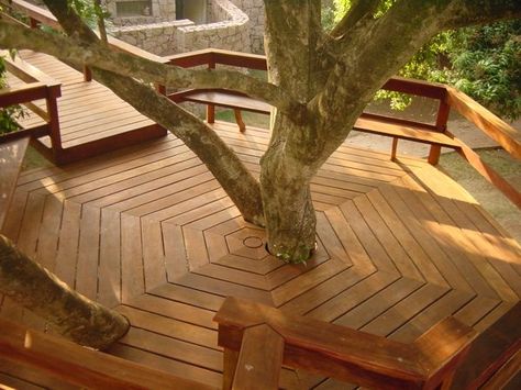 Tree House Deck, Deck Around Trees, Tree Deck, Tree House Plans, Tree House Designs, Deck Designs Backyard, House Deck, Timber Deck, Decks Backyard