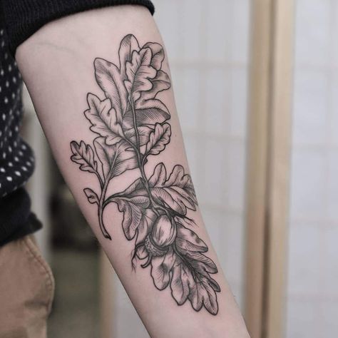 Fine Line tattoo of Oak Tree and sapling by Wade Johnston Oak Tree Leaves Tattoo, Oak And Acorn Tattoo, Acorn Leaf Tattoo, Oak Leaf And Acorn Tattoo, Oak Tree Leaf Tattoo, Leaf Tattoo Arm, Oakley Tattoo, Autumn Tattoo Ideas, Leaf Tattoo Meaning