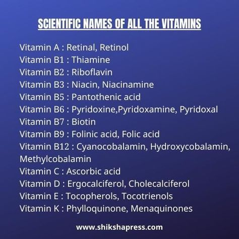 Scientific Names of all the Vitamins Vitamin Chemical Name, Chemical Names Of Vitamins, Vitamin Name Chart, Vitamin Notes, Smokable Herbs, Types Of Vitamins, Animal Biology, Medical Terminology Study, Hollistic Health