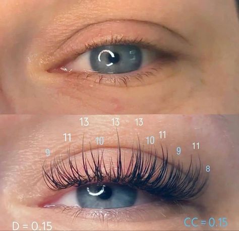 Bridal Eyelash Extensions, Classic Wispy Lash Extensions Mapping, Wispy Classic Lashes, Classic Lash Extensions Mapping, Wispy Classic Lash Extensions, Basic Lashes, Classic Wispy Lash Extensions, Eyelash Extensions Classic, Natural Fake Eyelashes