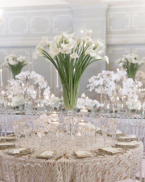 Amazing modern centerpieces designed with calla lilies and orchids 💚 floral desig Calla Lily Wedding Centerpiece, Lilies And Orchids, Small Table Centerpiece, Calla Lily Centerpieces, Fun Wedding Decor, Calla Lily Wedding, Modern Centerpieces, Wedding Decoration Ideas, Lily Wedding