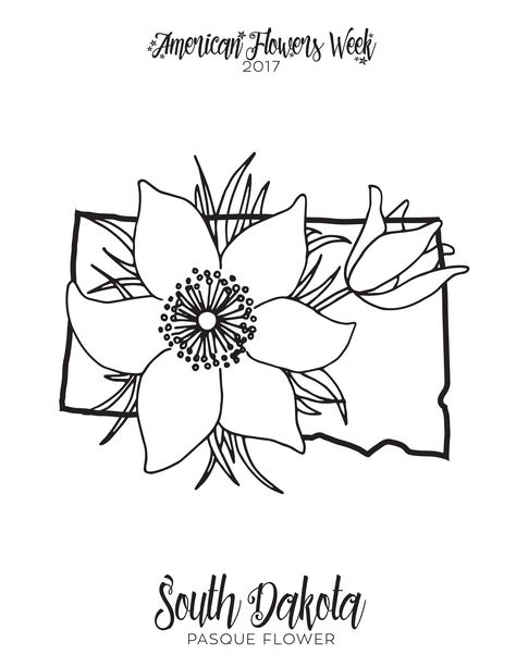 South Dakota: Pasque Flower Alabama Camellia, Colorado Columbine, Pasque Flower, Easter Coloring Sheets, Cupcake Coloring Pages, Printable Flower Coloring Pages, South Dakota State, Flag Coloring Pages, Coloring Pages Inspirational