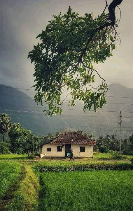 Kerala Village Photography, Indian Village Aesthetic, Village Life Aesthetic, Soothing Landscapes, Kerala Aesthetic, Dream Nature, Kerala Nature, Rural Photography, Heart In Nature