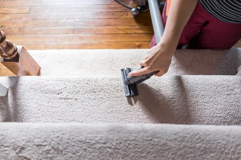 When you're looking for a cheap way to clean and disinfect carpet, consider making homemade carpet cleaner, looking for inexpensive carpet shampoo locally and online or renting a carpet cleaning machine. All of these solutions will give you fresh, clean floors while keeping costs low. Carpet On Stairs, Clean Carpet, Carpet Cleaner Homemade, Carpet Cleaning Machines, Carpet Shampoo, Carpet Cleaners, Carpet Stairs, Pot Lids, Carpet Cleaner