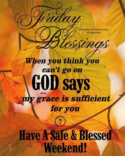 Friday Blessings Scriptures, Friday Morning Blessing, Friday Morning Greetings, Friday Inspirational Quotes, Week Quotes, Friday Blessings, Happy Sabbath, Daily Blessings, Blessed Friday