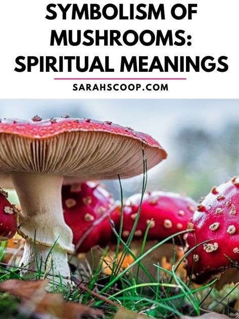 symbolism of mushrooms in various cultures and dreams Mushroom Symbolism Meaning, Mushroom Tattoo Meaning, Mushroom Spells, Mushroom Spiritual Meaning, Spiritual Meaning Of Mushrooms, Mushroom Meaning Witchcraft, Mushroom Meaning, Mushroom Symbol, Mushroom Symbolism