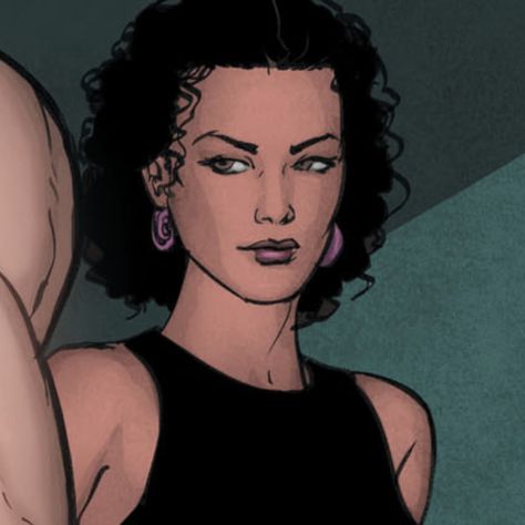 Helena Bertinelli Comics, Helena Bertinelli Icons, Helena Bertinelli, American Comics, Dc Heroes, Gotham, Live Action, Comic Art, Dc Comics