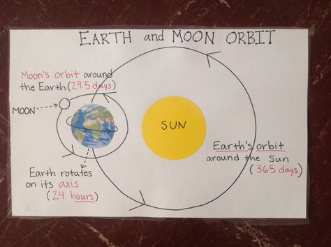 Earth and moon orbit anchor chart.                                                                                                                                                                                 More Sun Earth Moon Anchor Chart, Sun Moon Earth Project, Moon Anchor Chart, Sun Earth Moon, Science Lessons Elementary, Science Earth, Science Anchor Charts, Moon Orbit, Space Unit