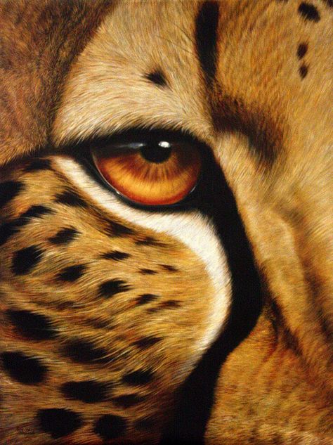 Breathtaking oil painting. The African Mona Lisa. Does anyone know the artist name? Close Up Art, Regard Animal, Cheetah Animal, Arte Animal, African Animals, Wildlife Art, Big Cats, Animal Paintings, Wild Cats