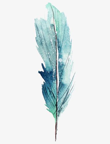 Teal Bird, Bird Feather, Watercolor Feather, Watercolor Paintings For Beginners, Watercolour Inspiration, Feather Painting, Feather Art, 수채화 그림, Watercolor Paintings Tutorials