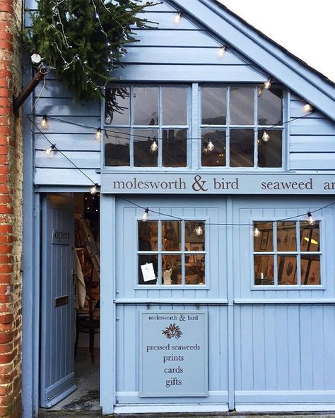 Superfolk Pressed Seaweed, Seaweed Art, Vintage Bakery, Diner Decor, Lyme Regis, Cottage Exterior, Uk Destinations, Shop Fronts, Shop Front