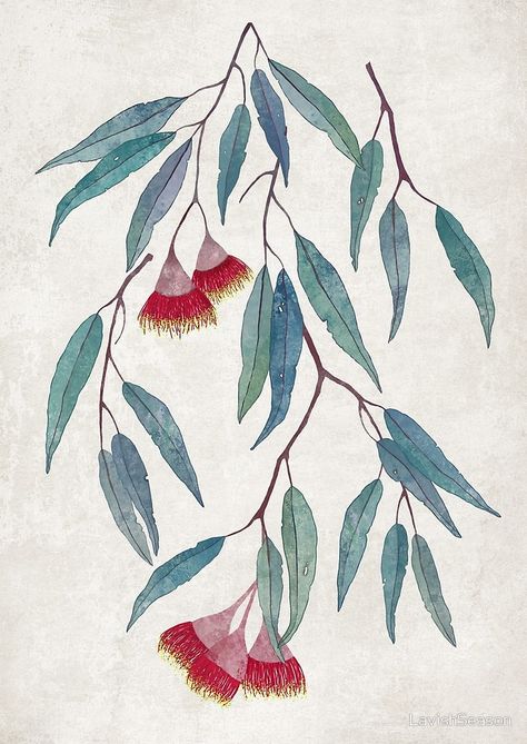 Australian Native Flowers, Watercolour Inspiration, Seni Cat Air, Australian Art, Eucalyptus Leaves, Botanical Drawings, Fiber Arts, Art Graphique, Botanical Illustration