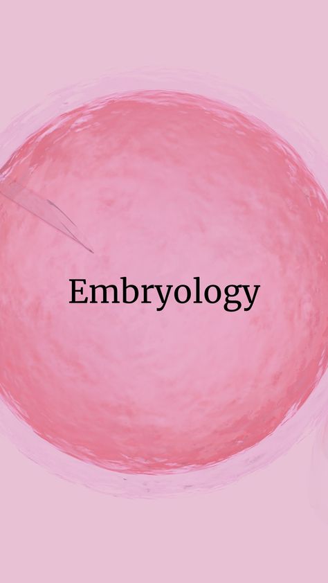 Embryology ivf blogs Embryologist Aesthetic, Embryology Aesthetic, Ivf Aesthetics, Ivf Egg Retrieval, Biology Major, Equality And Diversity, Vision Board Photos, Fertility, Short Film