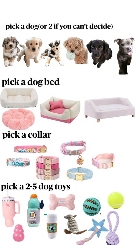 #remix #dog Puppy Basket, Puppy Room, Preppy Dog, Very Cute Puppies, Puppy Accessories, Cute Gifts For Friends, Cute Animals Puppies, Dog Ideas, Sleepover Activities