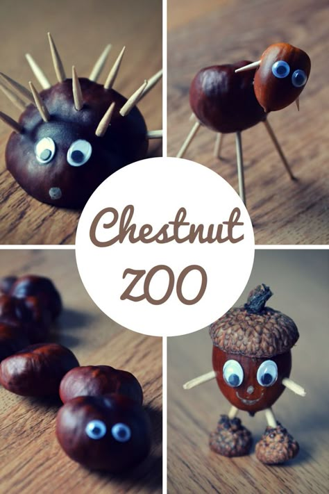 Chestnut ZOO: Fall Crafts | Multicultural Kid Blogs (scheduled via http://www.tailwindapp.com?utm_source=pinterest&utm_medium=twpin&utm_content=post13879376&utm_campaign=scheduler_attribution) Chestnut Craft, Conkers Craft, Windsock Craft, Acorn Crafts, Fun Fall Crafts, Easy Fall Crafts, Fall Craft, Fall Crafts For Kids, Autumn Crafts