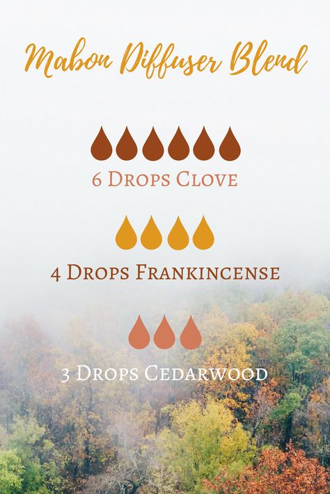 Mabon (Autumn Equinox) Essential Oil Diffuser Blend | The Witch of Lupine Hollow. #Mabon #fall_equinox #oils Fall Essential Oils, Fall Diffuser Blends, Essential Oil Combinations, Essential Oil Diffuser Blends Recipes, Essential Oil Diffuser Recipes, Oil Diffuser Recipes, Essential Oil Blends Recipes, Essential Oil Mixes, Diffuser Blend