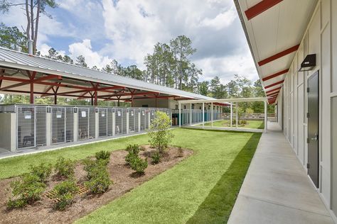 Aiken Animal Shelter | McMillan Pazdan Smith Architecture Dog Shelter Design, Animal Shelter Architecture, Animal Shelter Logo, Animal Shelter Quotes, Animal Shelter Fundraiser, Animal Shelter Design, Dog Shelters, Dog Boarding Facility, Dog Boarding Kennels