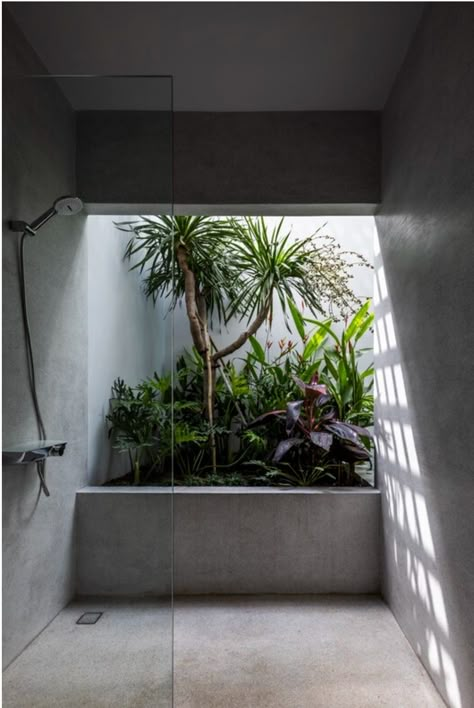 Bathroom With Courtyard, Plants In Bathrooms, Plant In Bathroom, Bathroom With Garden, Toilet Garden, Bathroom Plants No Sunlight, Bathroom With Plants, Houses Photography, Indoor Outdoor Bathroom