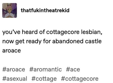 Aegosexual Pfp, Aroace Tumblr, Aegosexual Aesthetic, Aro Ace Aesthetic, Aroace Quotes, Aromantic Aesthetic, Aroace Aesthetic, Aroace Humor, Aroace Things