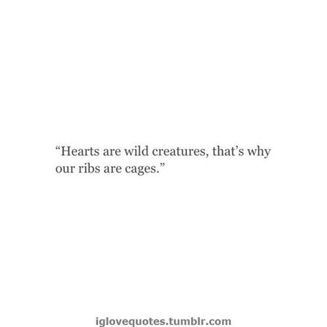 #wild #heart #caged Loving More Than One Person Quotes, Hearts Are Wild Creatures Quote, That One Person Quotes, Hearts Are Wild Creatures, Heart Feelings, Person Quotes, Inspirational Quotes For Teens, Funny Inspirational Quotes, Wild Creatures