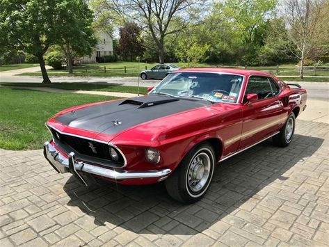 Mustang 1969, Xenia Ohio, Ford Mustang 1969, Roush Mustang, Ford Mustang 1965, 1971 Ford Mustang, Factory Five, 1969 Ford Mustang, Fairlane 500