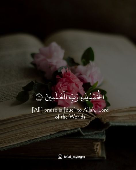 Shukar Alhamdulillah Quotes, Shukar Alhamdulillah, Alhamdulillah Quotes, Wallpaper Iphone Roses, Islam Beauty, Life Knowledge, Alhamdulillah For Everything, Imam Ali Quotes, Islam Hadith