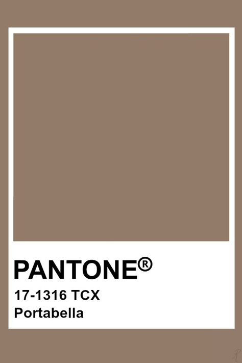 Pantone Portabella Taupe Pantone, Brown Pantone, Pantone Tcx, Pantone Color Chart, Pantone Swatches, Vintage Colour Palette, Pantone Palette, Pantone Colour Palettes, Ginger Snap