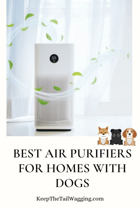 Looking for an air purifier to reduce allergens and pet smells? I tested four brands to find the best air purifier for homes with dogs. Best Air Purifier For Pets, Air Purifier Benefits, Small Media Rooms, Small Air Purifier, Raw Feeding For Dogs, Home Cooked Dog Food, Best Air Purifier, Raw Dog Food Diet, Pet Smell