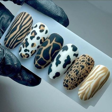 Animal Print On Nails, Animals Print Nails, Zebra Nail Art Designs, Nails Print Animal, Animal Prints Nail Art, Animal Print Nail Art Designs, Animal Nails Designs, Safari Theme Nails, Animal Nail Art Designs