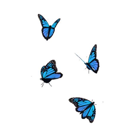 Notion Icon Gif Png Blue, Butterfly Gif Png, Blue Png Gif, Blue Butterfly Gif, Butterflies Gif, Butterfly Edit, Fly Gif, Aesthetic Animated, Butterfly Gif