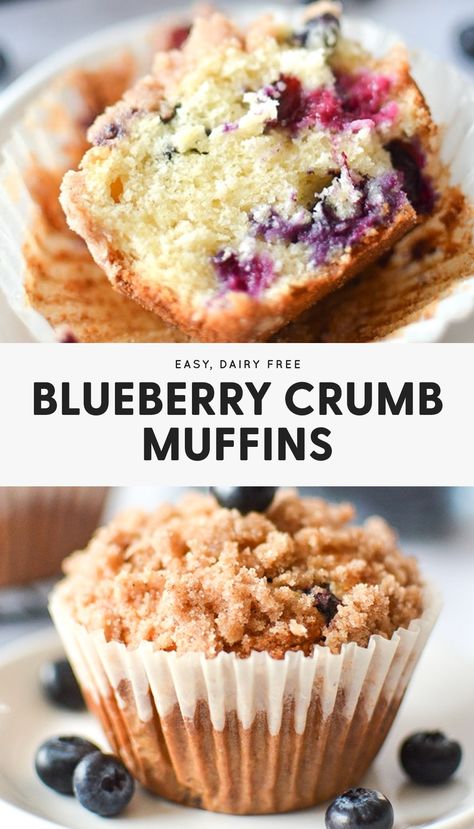 These blueberry crumble muffins are the best homemade jumbo muffins recipe you can find. With a cinnamon streusel topping and fresh blueberries bursting in every bite, it’s a great snack or breakfast experience. Everyone will love this dairy free recipe and you’ll love knowing it was so simple to make! Blueberry Sour Cream Muffins, Jumbo Muffin Recipes, Blueberry Muffins With Crumb Topping, Dairy Free Blueberry Muffins, Jumbo Blueberry Muffins, Blueberry Crumb Muffins, Simply Whisked, Blueberry Crumble Muffins, Sour Cream Blueberry Muffins