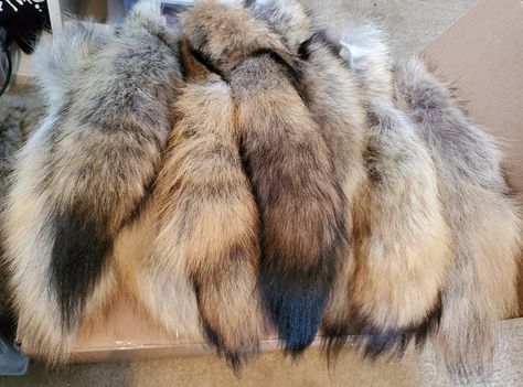 Coyote Tail, Taxidermy Fox, Kid Costume, Tail Keychain, Wolf Tail, Animal Tails, Wolf Stuff, Vulture Culture, Great Cat