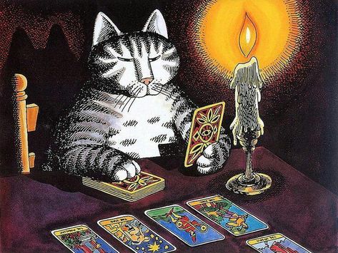 Tarot Reader Art, B Kliban, Tarot Cards Art Illustration, Barbie Dog, Kliban Cat, Reading Tarot, Cat Reading, Season Of The Witch, Arte Inspo