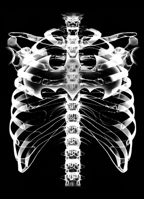 TORAX DC XRAY on Behance Skeleton Xray Aesthetic, X Ray Graphic Design, X Ray Photography, X Ray Wallpaper, X Ray Aesthetic, Skeleton Xray, Super Hero Logo, Xray Art, Windows To The Soul