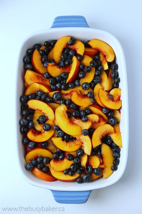 The Busy Baker: Blueberry Nectarine Cobbler Fresh Fruit Baked Goods, Things To Do With Nectarines, Nectarines Recipes Dessert, What To Make With Nectarines, What To Do With Nectarines, Nectarines Recipes, Blueberry Nectarine Cobbler, Nectarine Recipes Healthy, Cobblers Recipes