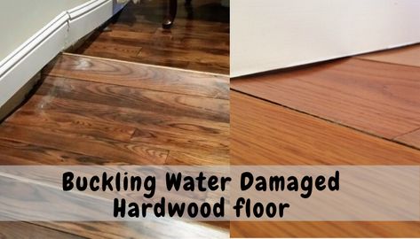 how to fix buckling water damaged floor Water Damaged Wood Floor, How To Fix Unlevel Floors, How To Fix Wood Floor Damage, Repair Engineered Hardwood Floors, Hardwood Floor Repair, Diy Hardwood Floors Installation, Wood Floor Repair, Veneer Flooring, Laminate Hardwood Flooring