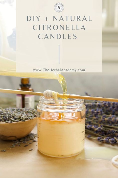 Homemade Citronella Candles, Diy Citronella, Expensive Candles, Green Candles, Herbal Academy, Citronella Essential Oil, Spa Candle, Candles Diy, Citronella Oil