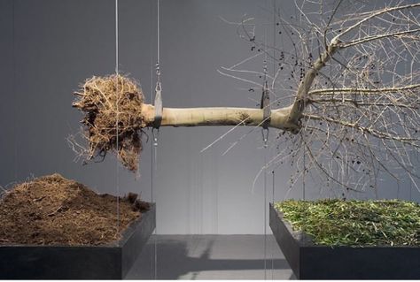 Branch Installation, Nature Installation, The Electric State, Entrance Display, Nature Exhibition, Interior Tree, Dimension Art, Force And Pressure, Art Intervention