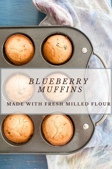 Fresh Milled Blueberry Muffins, Fresh Milled Flour Blueberry Muffins, Fresh Milled Dinner Rolls, Fresh Milled Muffin Recipes, Freshly Milled Flour Muffins, Fresh Milled Flour Muffin Recipes, Fresh Milled Mama, Grain Mill Recipes, Fresh Milled Muffins