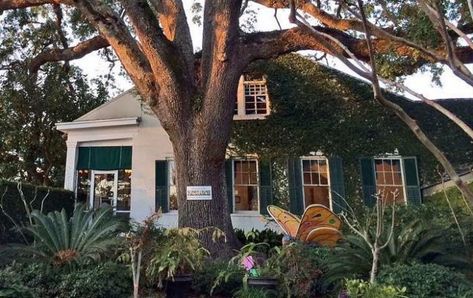 Mary Mahoney's Is A Restaurant Hiding In One Of The Oldest Homes In Mississippi Mary Mahoney, Old French House, Famous Restaurants, Tree Tunnel, Red Bluff, French Restaurant, Magical Tree, Unique Restaurants, French Restaurants